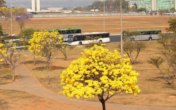 Centro-Oeste tem três alertas ativos para chuvas e baixa umidade