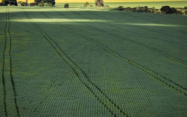 Senado aprova plano para fabricação de fertilizantes no Brasil