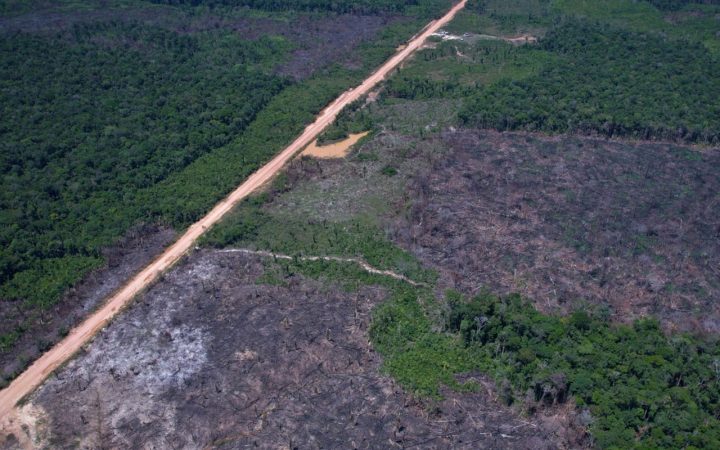 Desmatamento na Amazônia cai 36,87% no último ano
