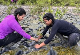 Inscrição de trabalhos no Fórum de Educação Ambiental termina dia 30