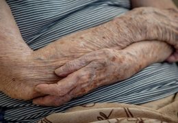 Número de lares com idosos em insegurança alimentar cai em dois anos