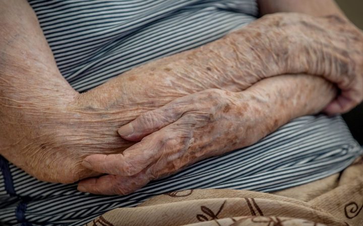 Número de lares com idosos em insegurança alimentar cai em dois anos