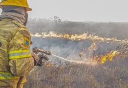Governo investiga se há organização por trás dos incêndios no Amazonas