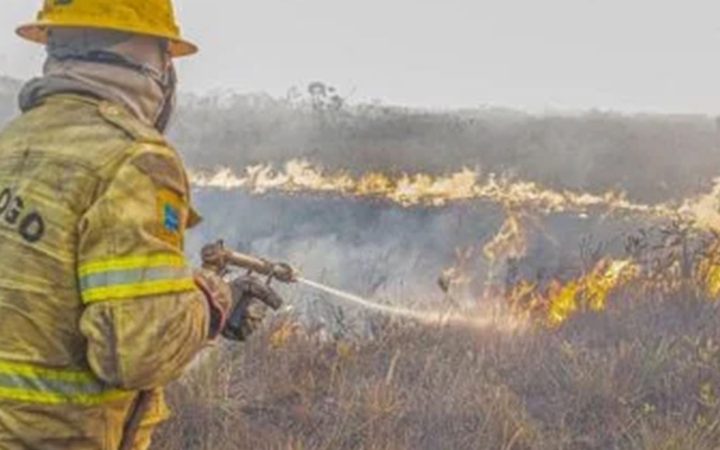 Governo investiga se há organização por trás dos incêndios no Amazonas